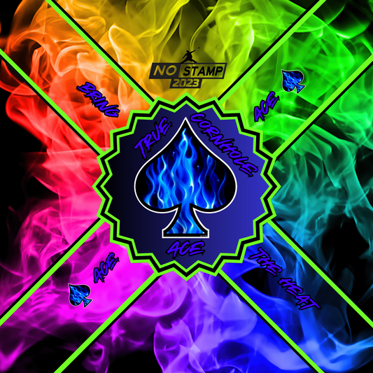 TRUE CORNHOLE ACE 7/9 SPEED BAG