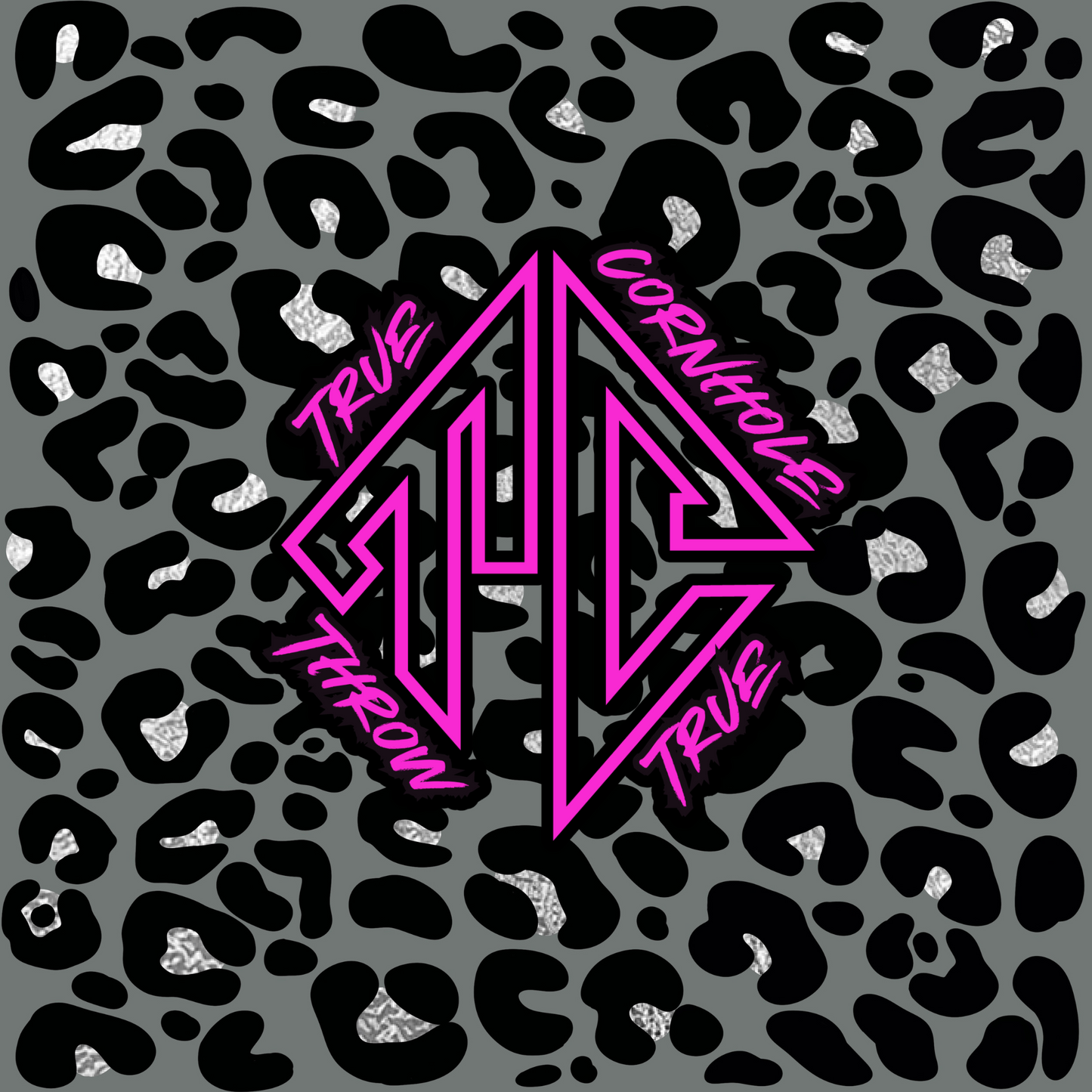 Aco Approved Professional Cornhole Bags Stick and slick  3/6 speed HoleSeeker