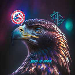 ACO APPROVED TRUE CORNHOLE 4.5/8 HYBRID CARPET BIRD OF PREY design 25